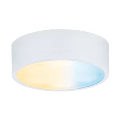 Clever Connect LED Spot - Medal