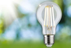 Efficient-Line Filament 230V - LED Birne 1er-Set