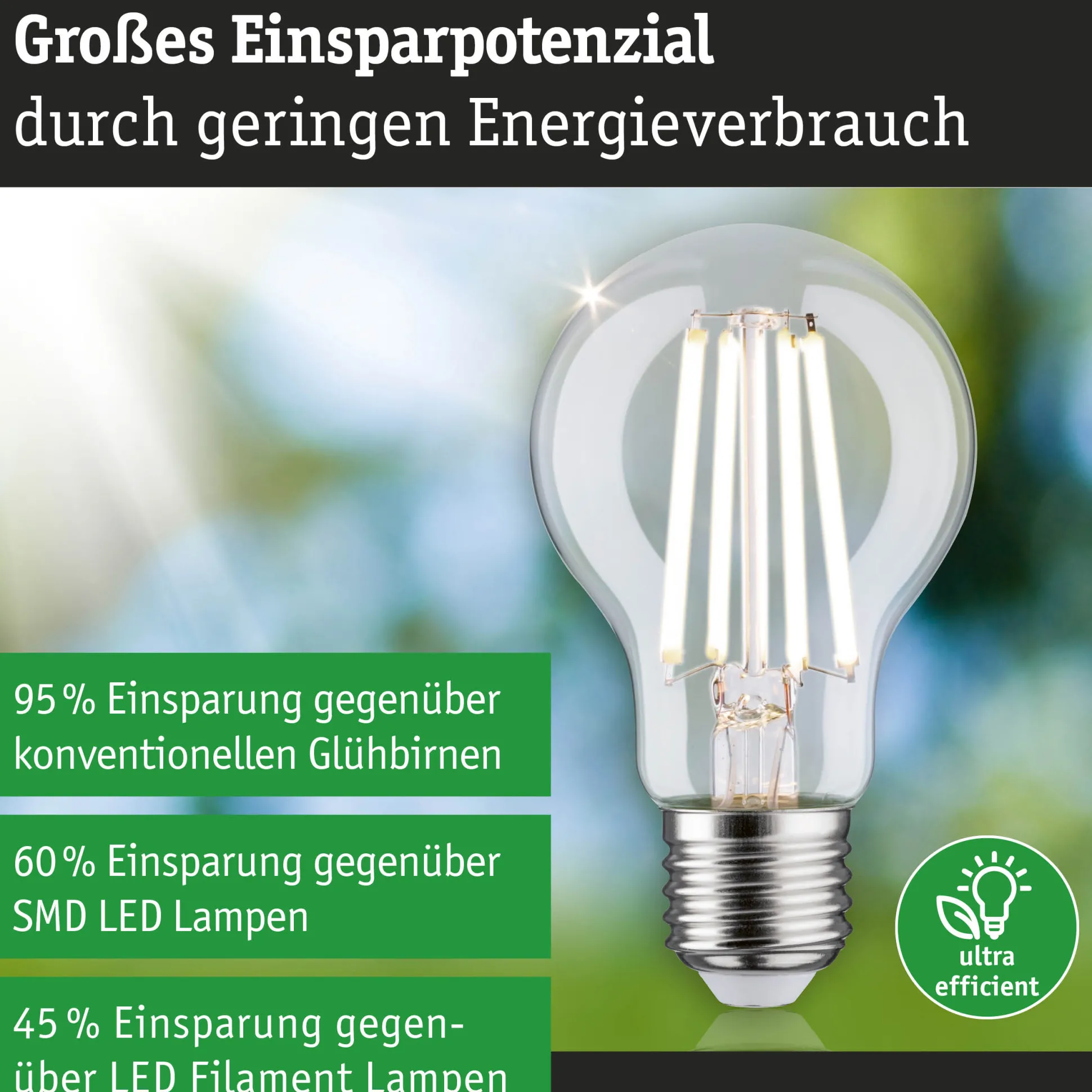 Efficient-Line Filament 230V - LED Birne Einzelleuchte