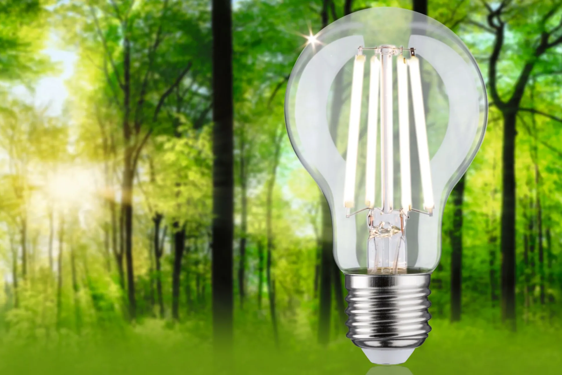 Efficient-Line Filament 230V - LED Birne Einzelleuchte