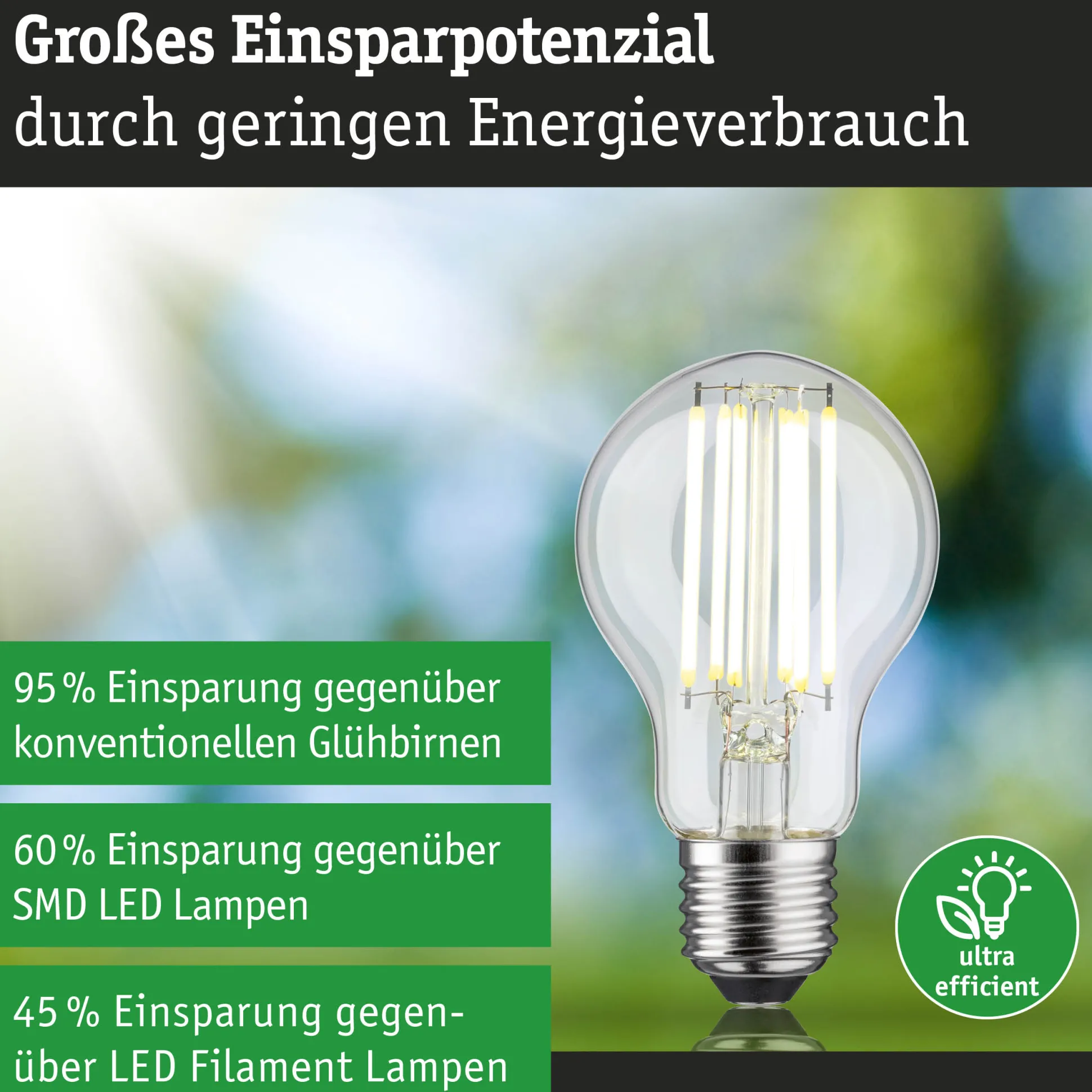 Efficient-Line Filament 230V - LED Birne Einzelleuchte