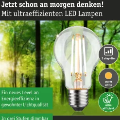 Efficient-Line Filament 230V - LED Birne Einzelleuchte