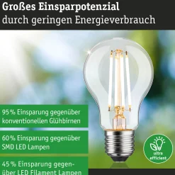 Efficient-Line Filament 230V - LED Birne Einzelleuchte