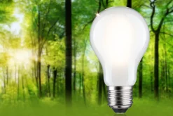 Efficient-Line Filament 230V - LED Birne Einzelleuchte