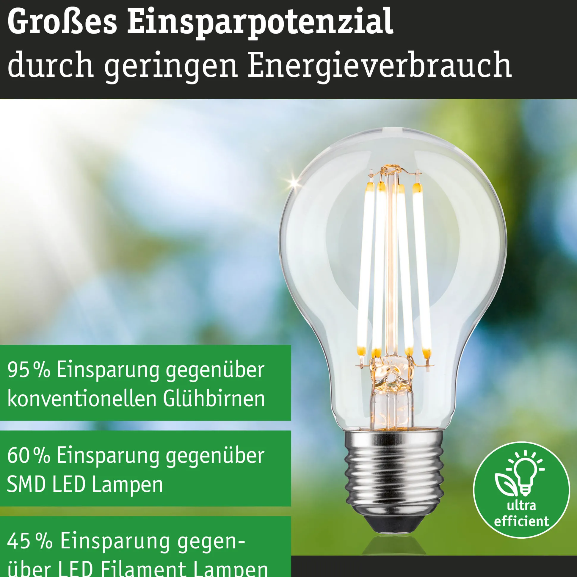 Efficient-Line Filament 230V - LED Birne Einzelleuchte