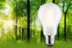 Efficient-Line Filament 230V - LED Birne Einzelleuchte