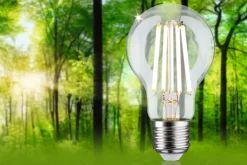 Efficient-Line Filament 230V - LED Birne Einzelleuchte