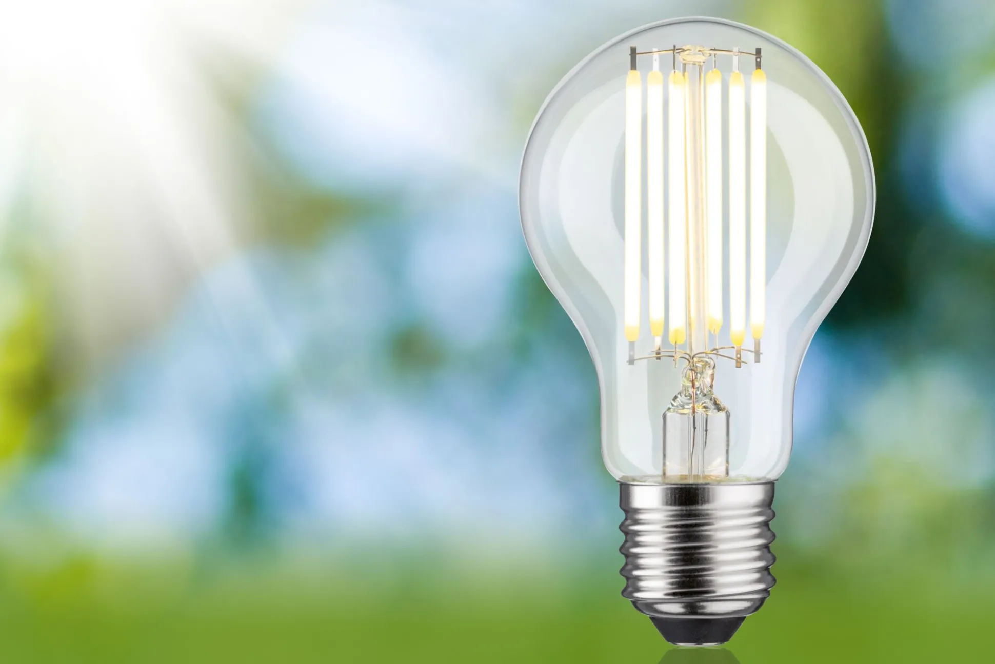 Efficient-Line Filament 230V - LED Birne Einzelleuchte
