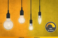 Filament 230V - LED Birne E27