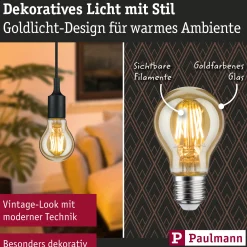 1879 Filament 230V - LED Birne E27