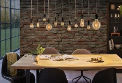1879 Filament 230V - LED Birne E27