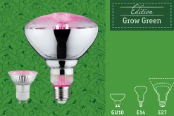 Grow Green Edition Filament 230V - LED Reflektor R80