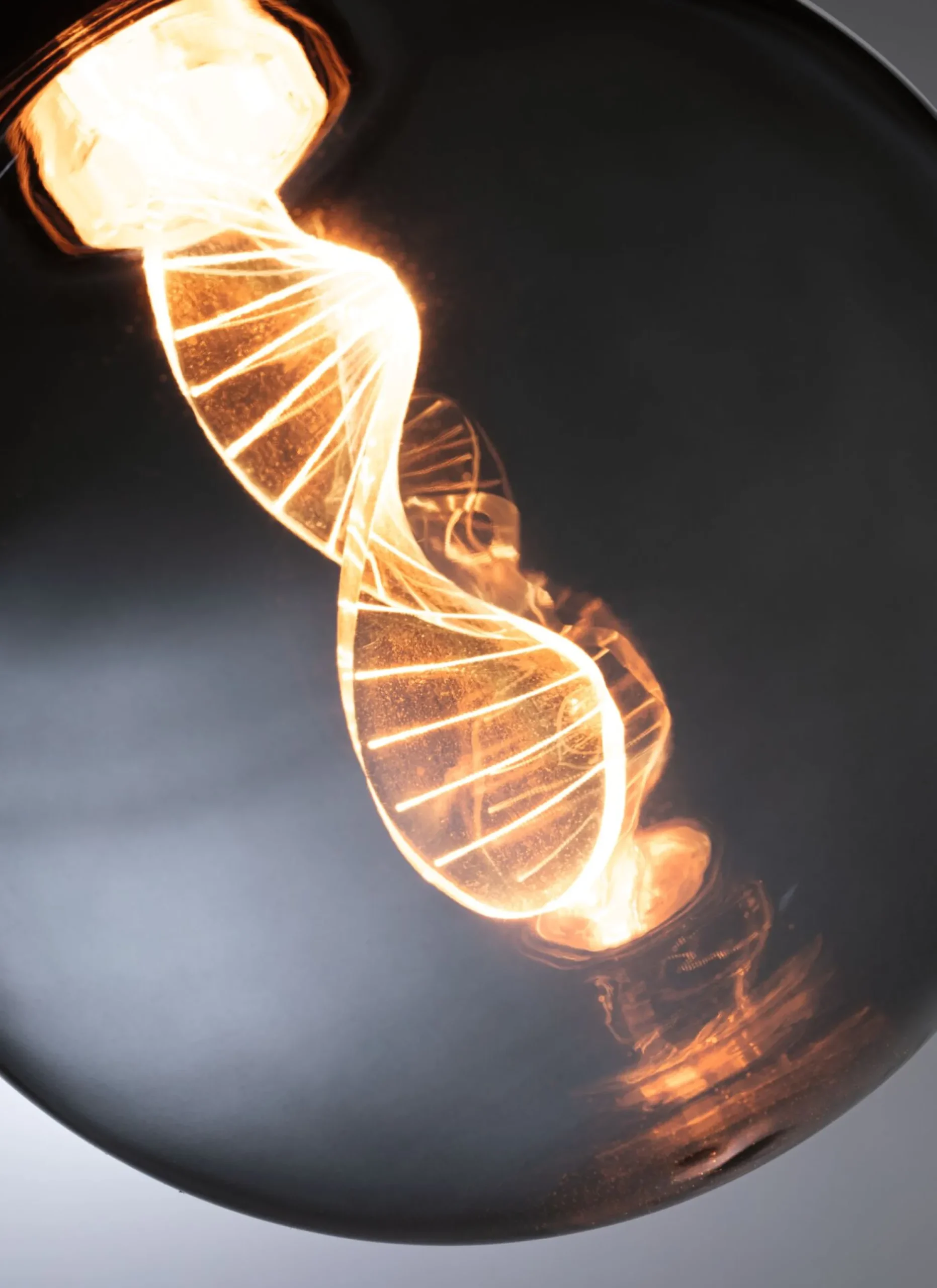 Inner Glow Edition LED Globe - Helix