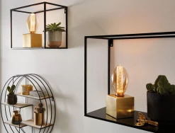 Inner Glow Edition Set - LED Innenkolben E27