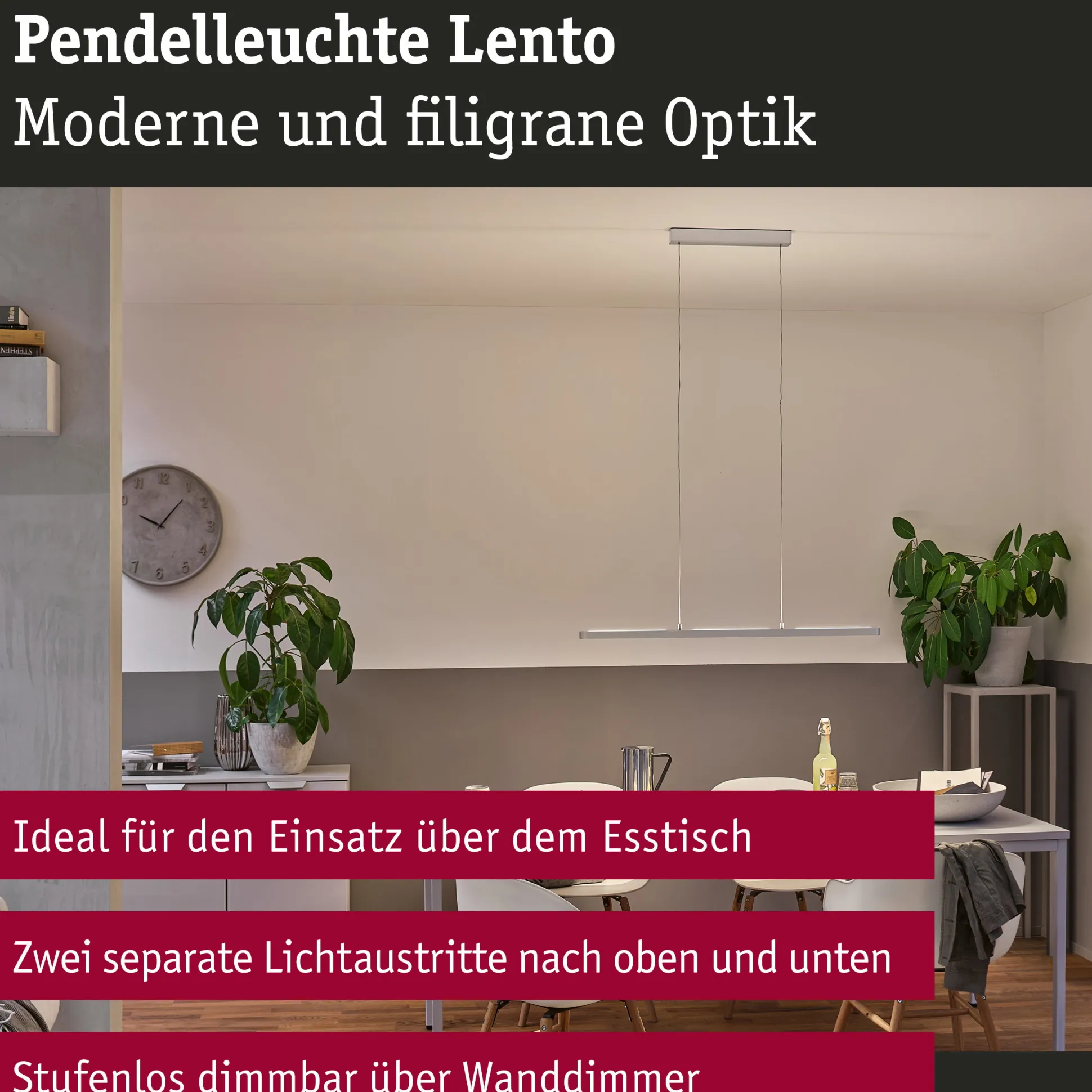 LED Pendelleuchte - Lento
