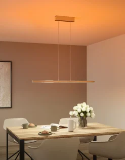 LED Pendelleuchte - Lesko