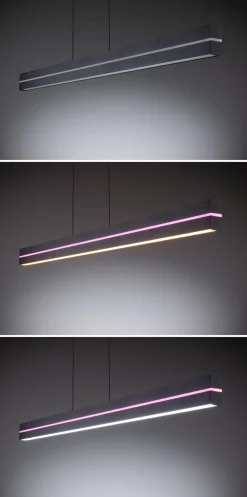 LED Pendelleuchte - Raiko