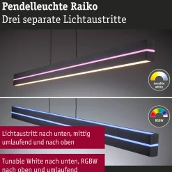 LED Pendelleuchte - Raiko