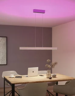 LED Pendelleuchte - Raiko