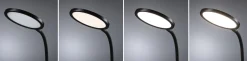LED Schreibtischleuchte - Mejan