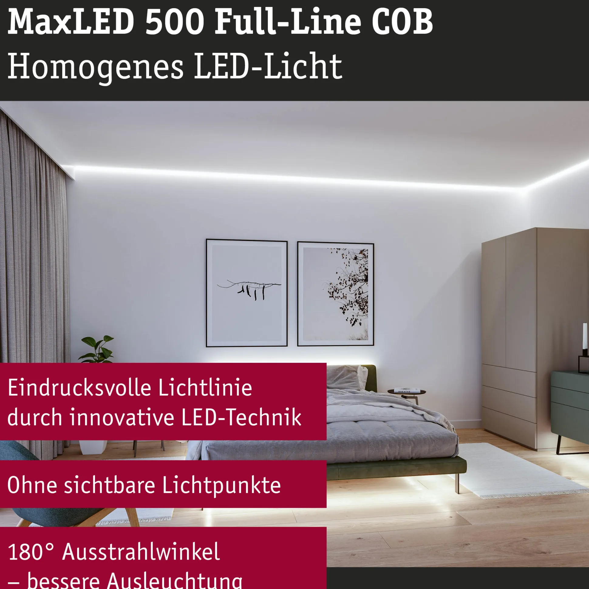 MaxLED 500 LED Strip - Basisset 1,5m 6500K