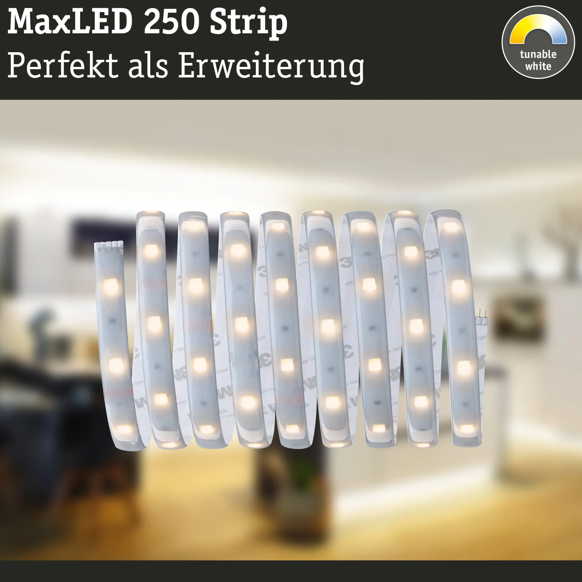 MaxLED 250 LED Strip - Erweiterung 2,5m Tunable White