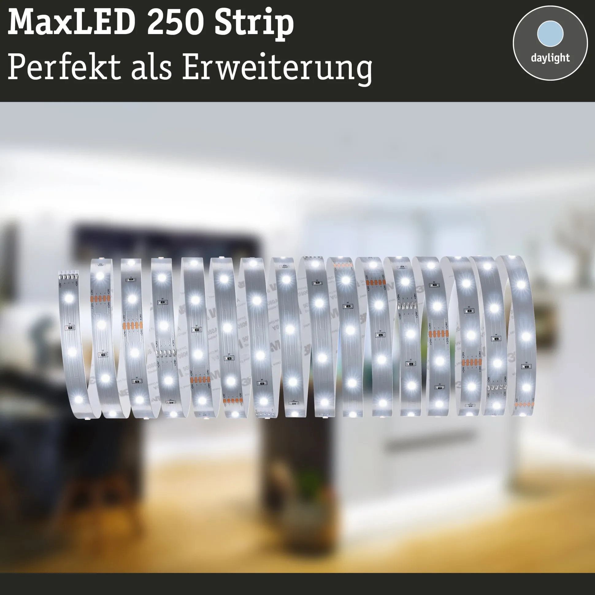 MaxLED 250 LED Strip - Erweiterung 5m 6500K