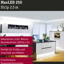 MaxLED 250 LED Strip - Erweiterung 2,5m 6500K