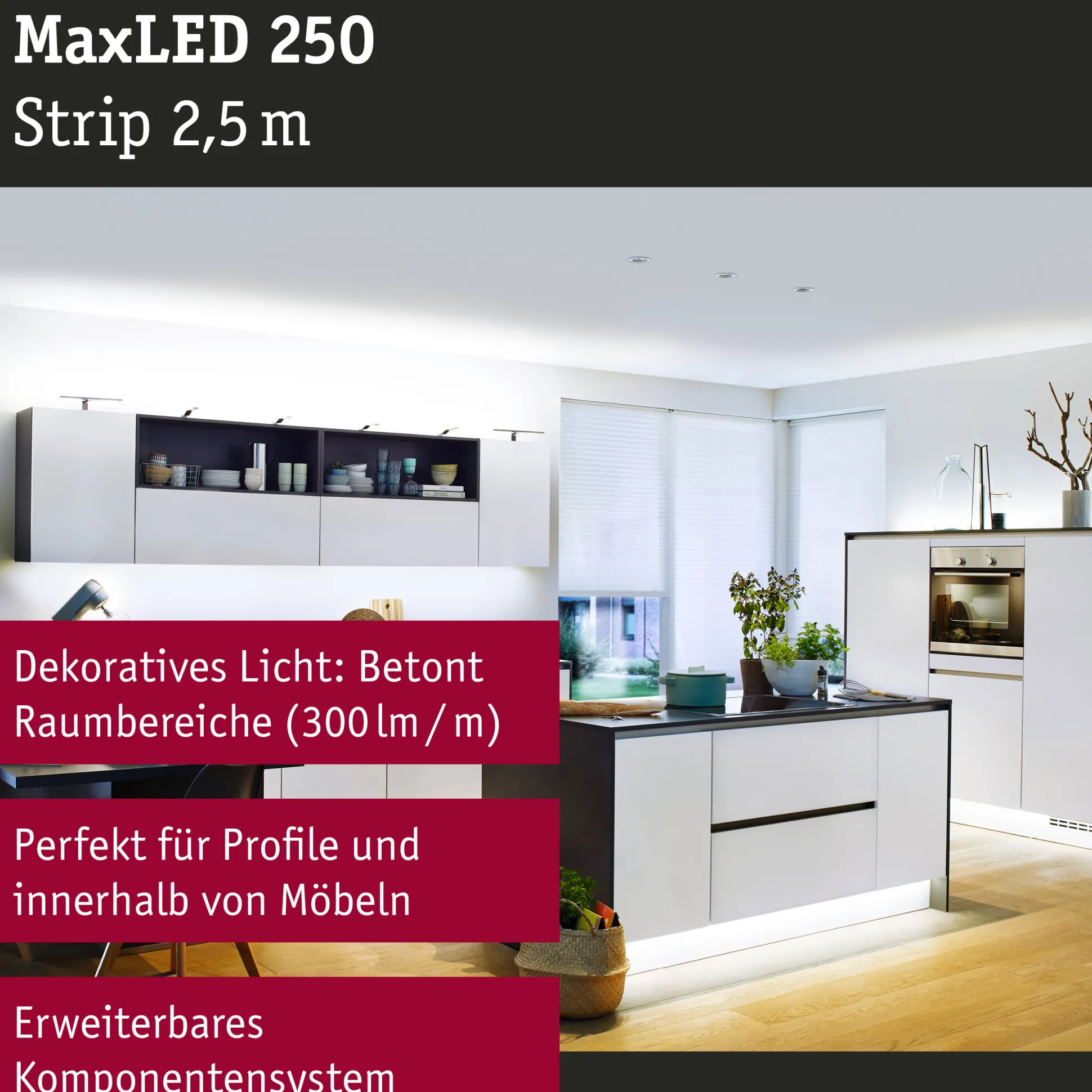 MaxLED 250 LED Strip - Erweiterung 2,5m 6500K