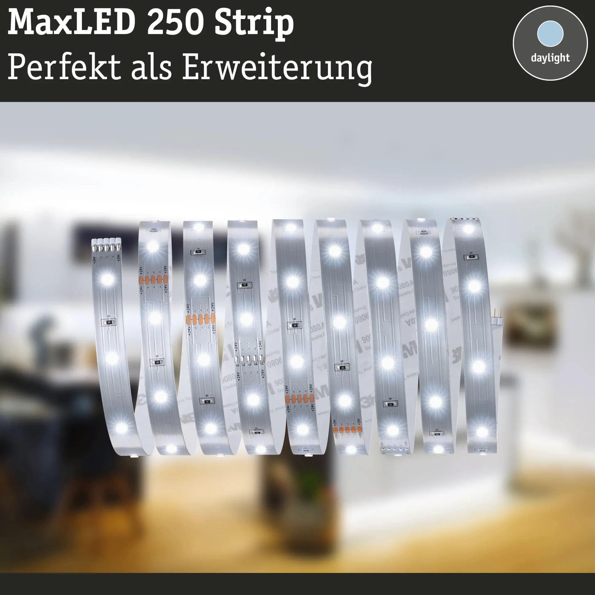MaxLED 250 LED Strip - Erweiterung 2,5m 6500K