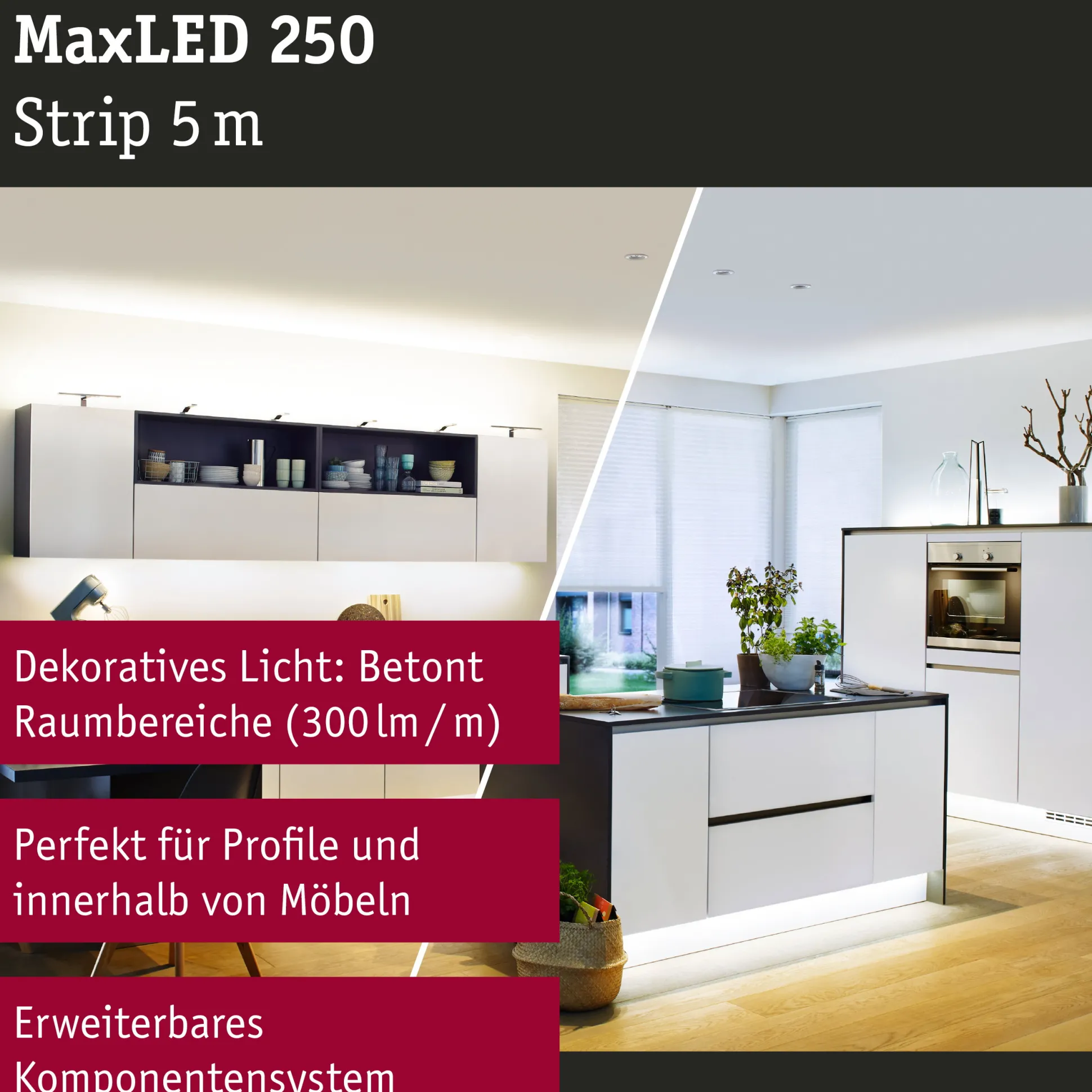 MaxLED 250 LED Strip - Erweiterung 5m Tunable White