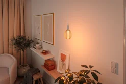 Metallic Glow Standard 230V - LED Globe Spiral