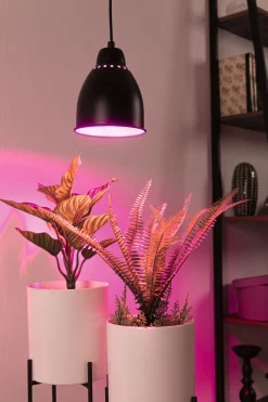 Neordic Set - Pendelleuchte Hilla + LED Reflektor E27