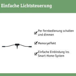 Plug & Shine Controller Smart Home Zigbee 3.0 - Plug & Shine Controller Smart Home Zigbee 3.0 24V max. 75W Schwarz