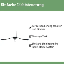 Plug & Shine Controller Wireless - Plug & Shine Controller Wireless IP68 Schwarz
