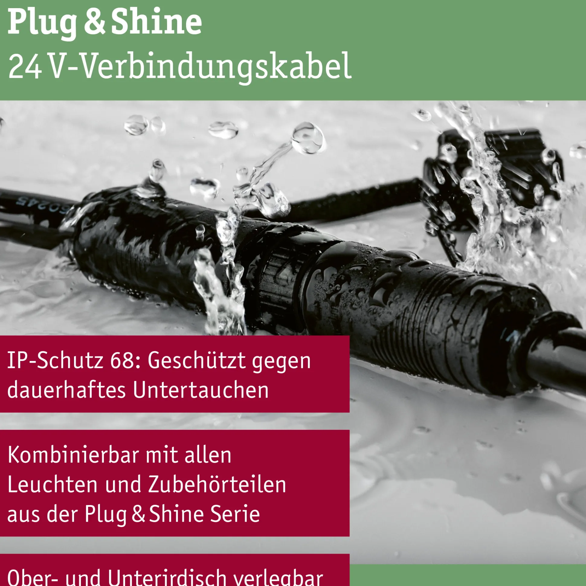 Plug & Shine Kabel - 10m 2 Ausgänge
