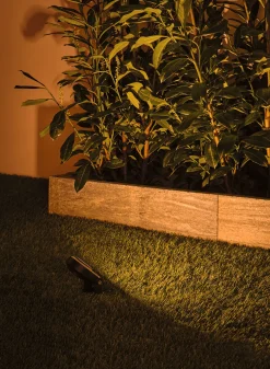 Plug & Shine LED Gartenstrahler - Sting Basisset insektenfreundlich