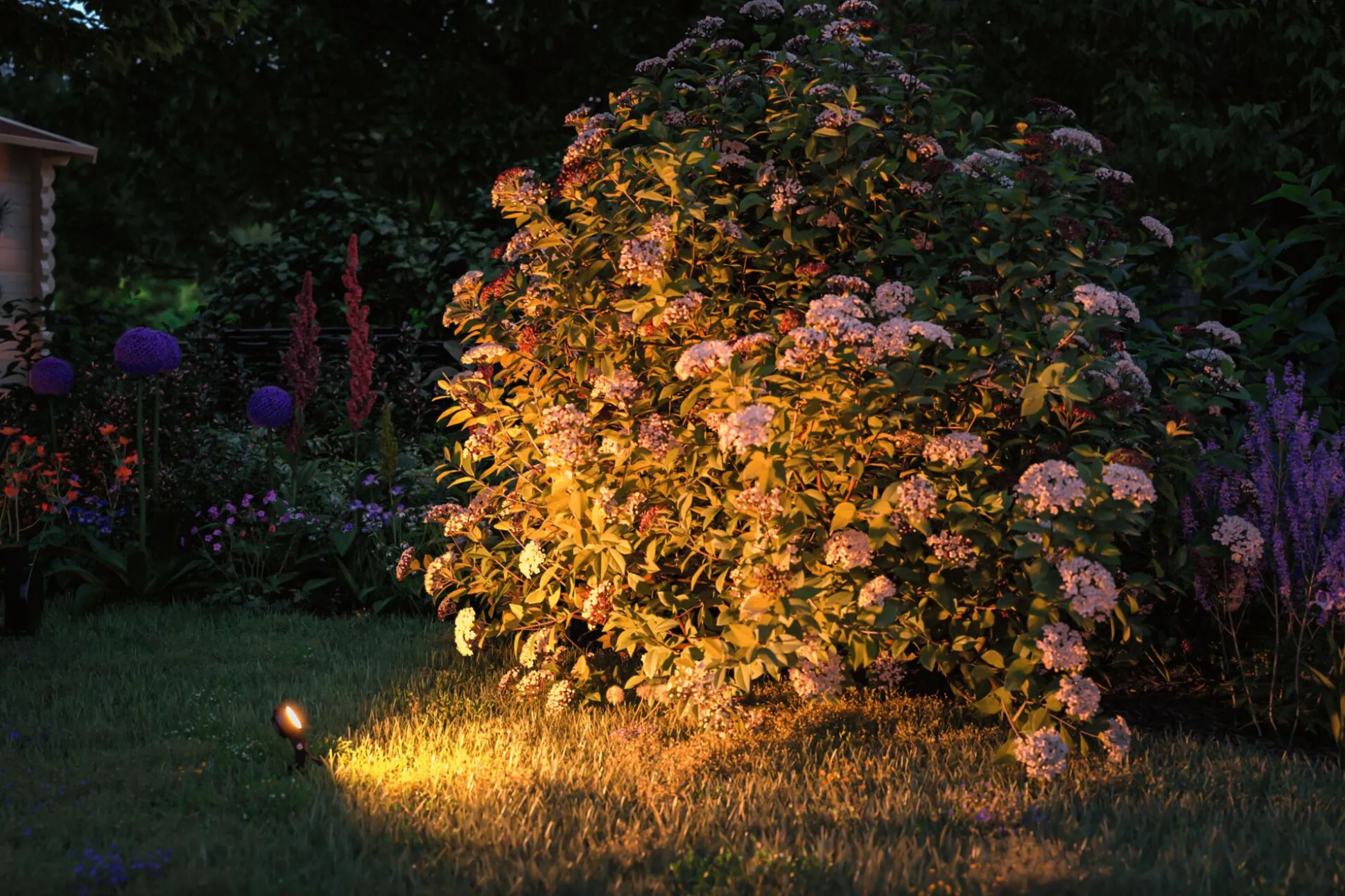 Plug & Shine LED Gartenstrahler - Sting Einzelspot insektenfreundlich