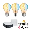 Preisattraktives Starterset Zigbee 3.0 - LED Birne Filament E27 Tunable White + Gateway smik + Schalter
