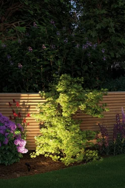 Set Plug & Shine LED Gartenstrahler - Sting 6er-Set