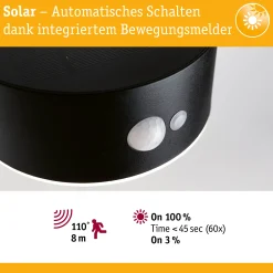 Solar LED Außenwandleuchte - Eileen insektenfreundlich