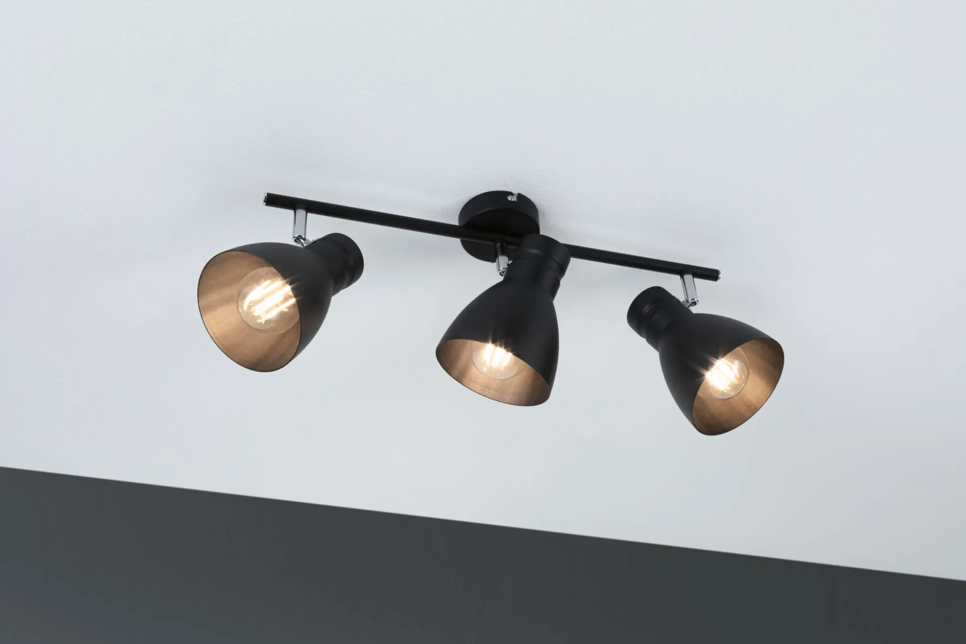 Spotlight - Davy