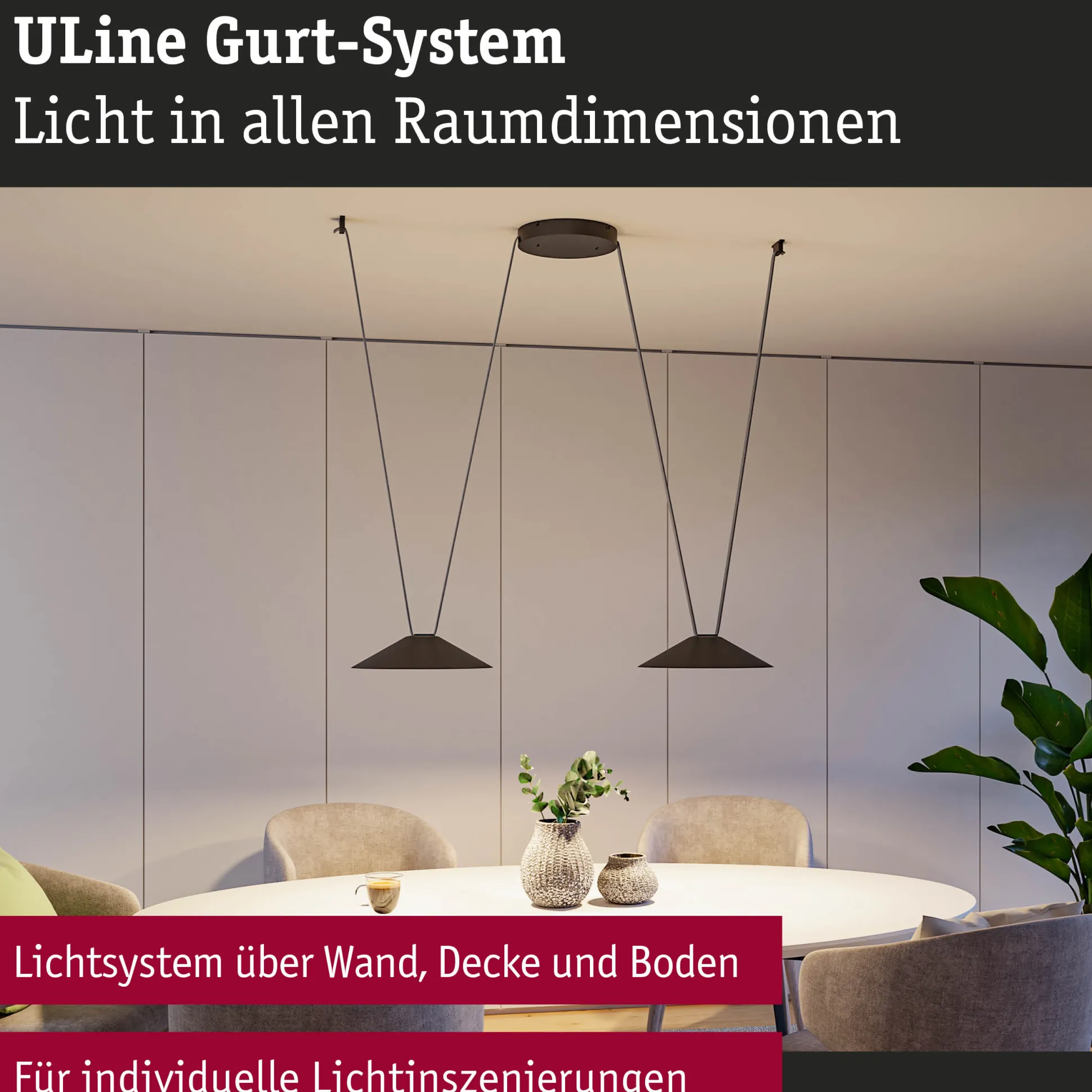 ULine Gurt - 5m