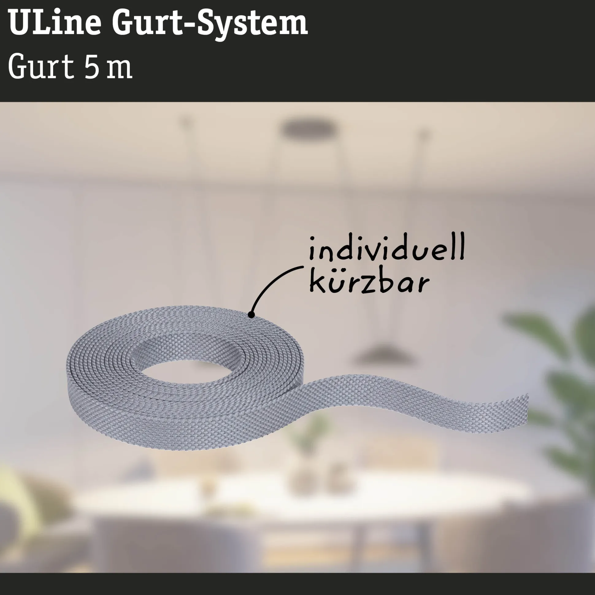 ULine Gurt - 5m