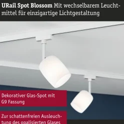 URail Schienenspot - Blossom