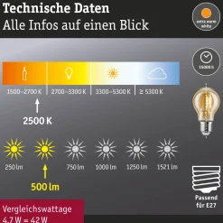 Vintage Edition Standard 230V - LED Birne E27